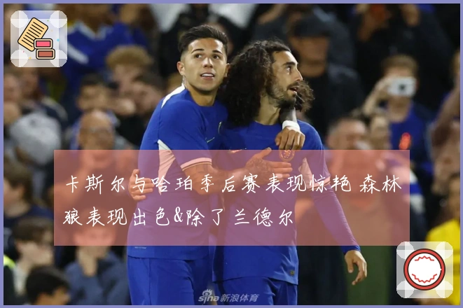 卡斯尔与哈珀季后赛表现惊艳 森林狼表现出色&除了兰德尔